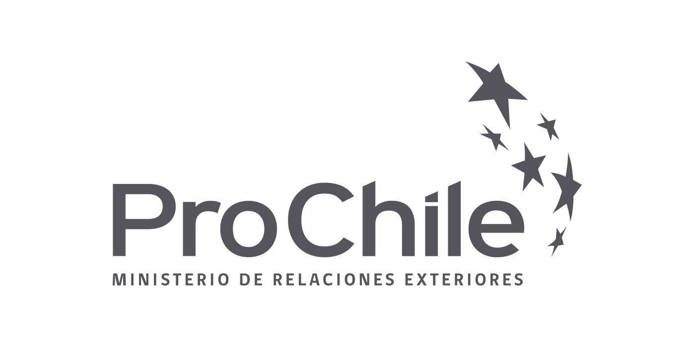 Logo-ProChile-Gris-ES (3)