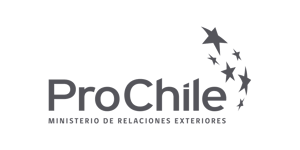 Logo-ProChile-Gris-ES (3)