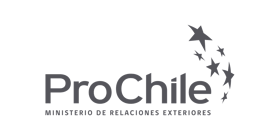 Logo-ProChile-Gris-ES