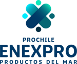 logo_enexpro PDM@2x-8